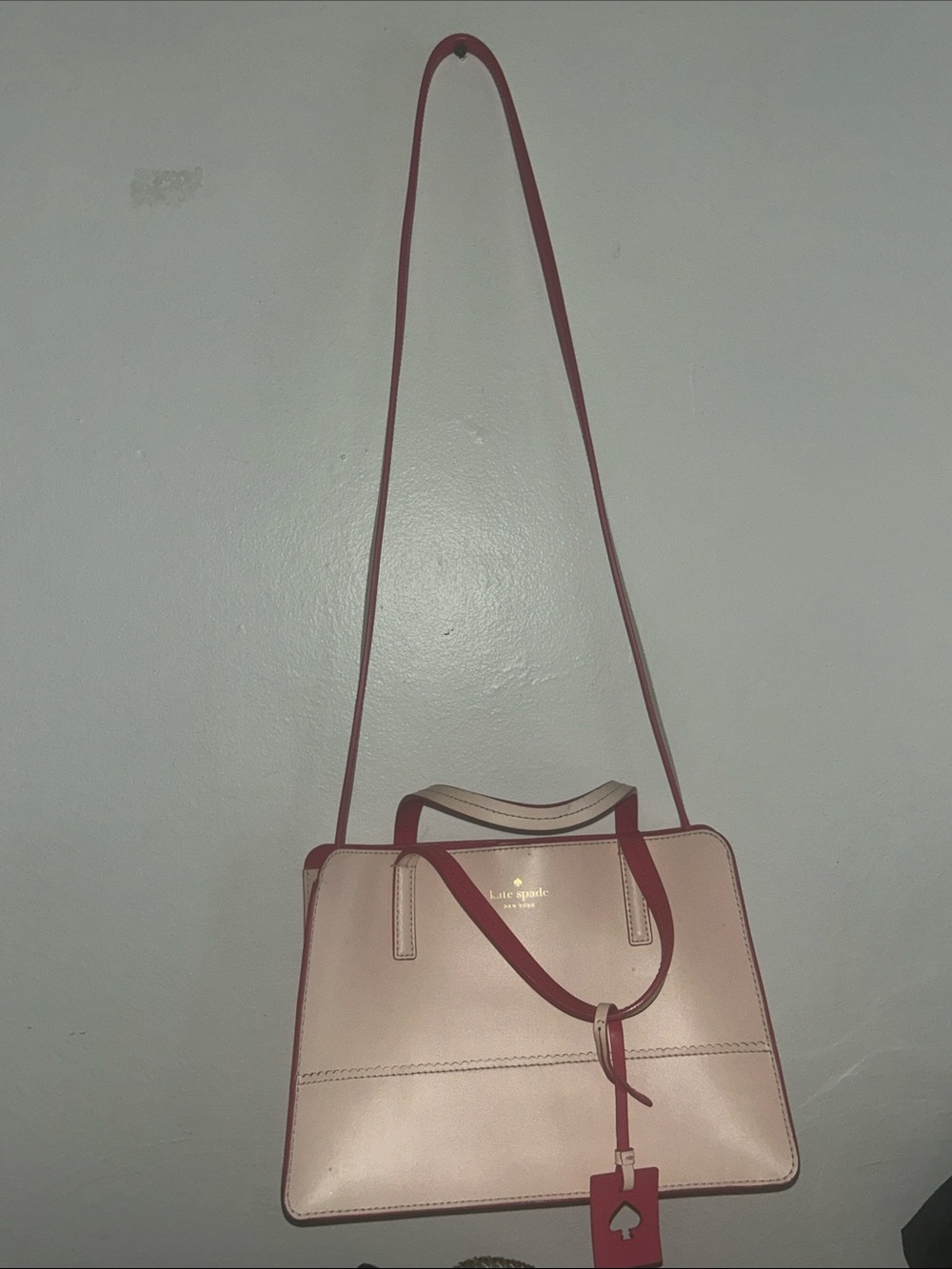 kate spade Blush Pink and Rose Trim Leather Satchel